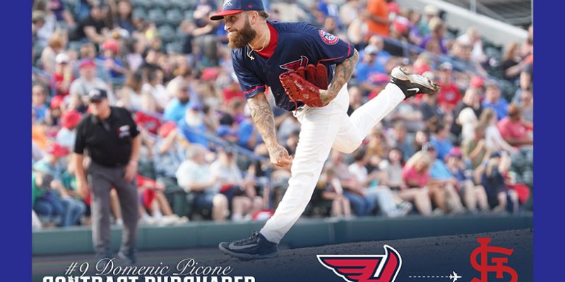 St. Louis Cardinals Purchase Domenic Picone’s Contract
