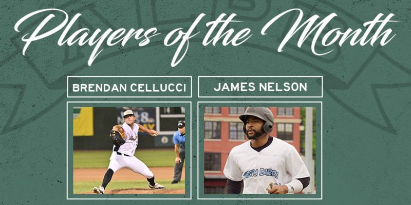 ALPB Names August Player/Pitcher of the Month